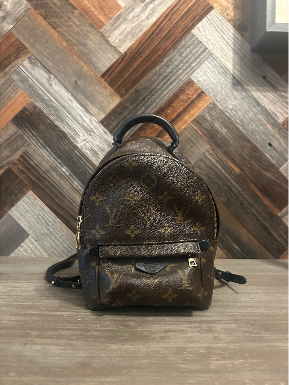 Louis Vuitton Monogram Palm Springs Mini Backpack